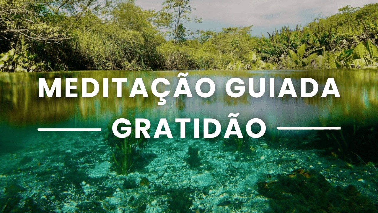 Meditação da Gratidão – seja mais feliz